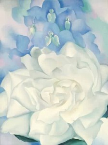 georgia-o-keeffe-xx-white-rose-with-larkspur-no-2-1927
